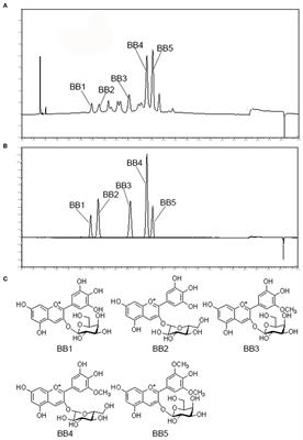 Five blueberry anthocyanins and their antioxidant, hypoglycemic, and hypolipidemic effects in vitro